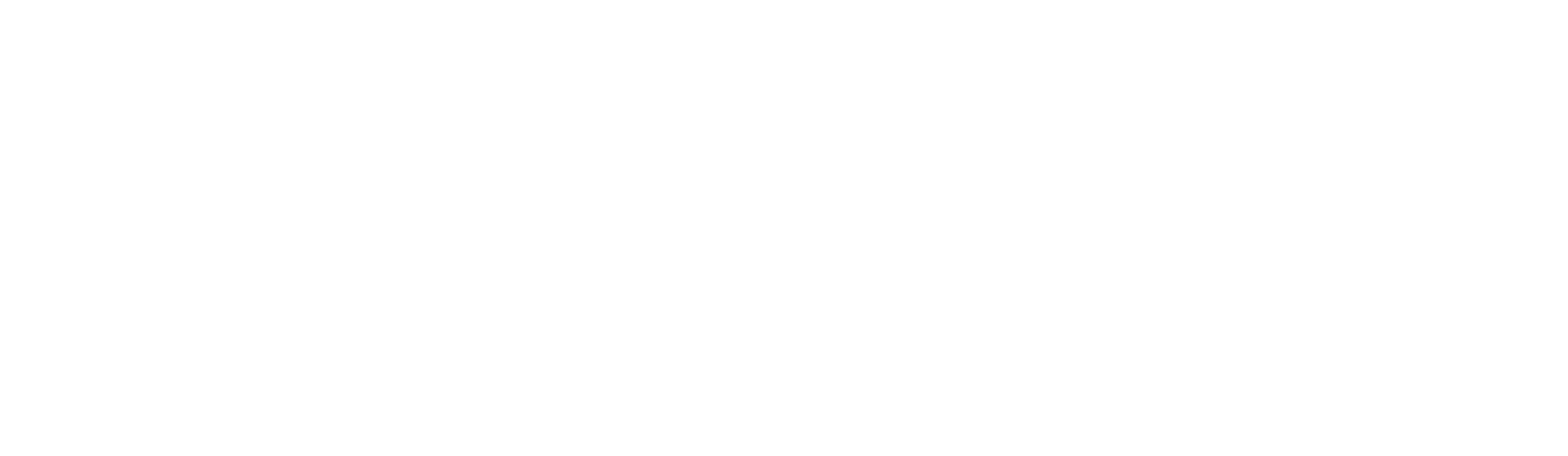 Gypaetus – Code Agency Logo